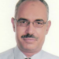 Ahmed Abdel-Fattah Mohamed Ramadan